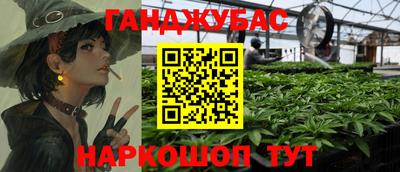 гидра Аша