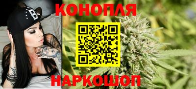 гидра Аша