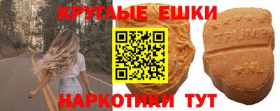 гидра Аша